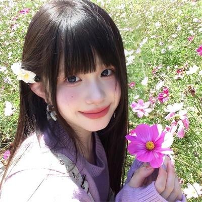 鹰狼传奇